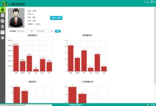 軟件開發與創新設計 從奇幻島CRM管理系統到豬八戒網平臺